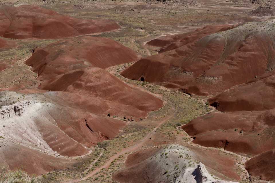 Colored Land