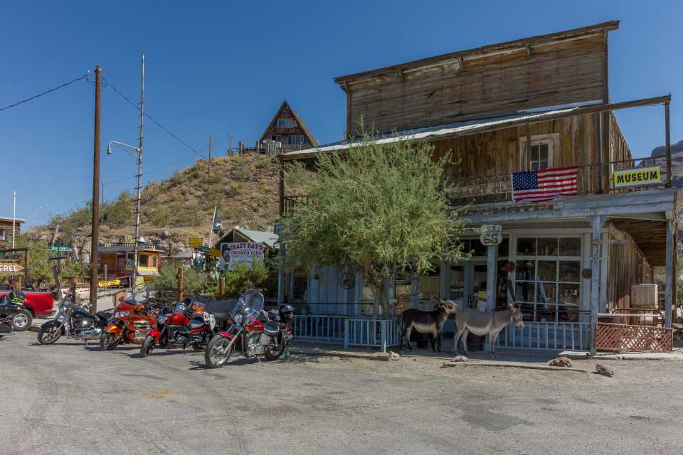 Oatman - Donkeys gehören dazu