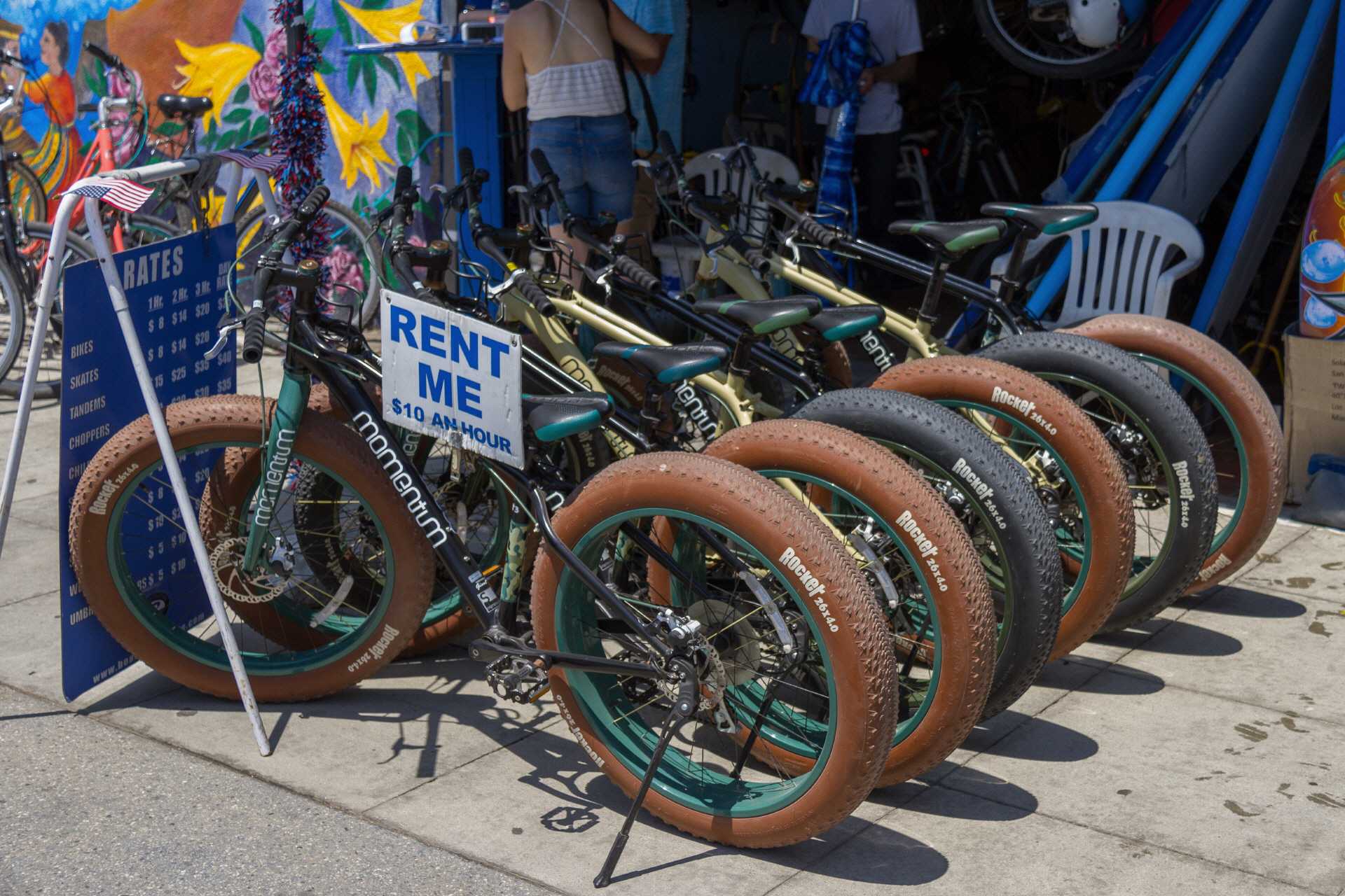 Fatbikes - der Renner hier